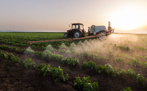 Best Commercial Pest Control Services  in Pinardville, NH